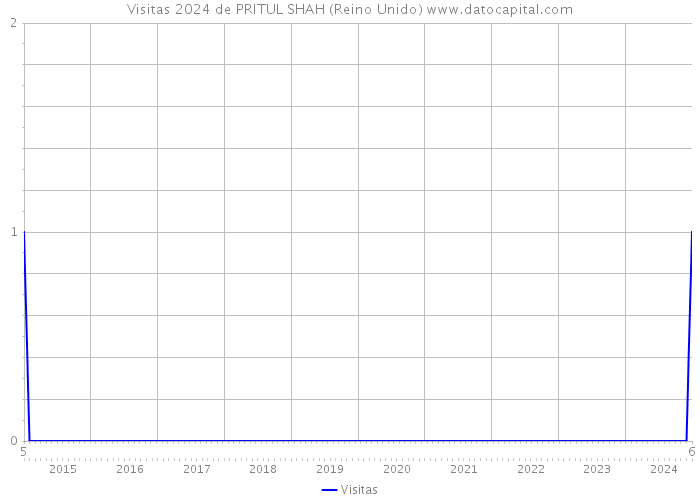 Visitas 2024 de PRITUL SHAH (Reino Unido) 