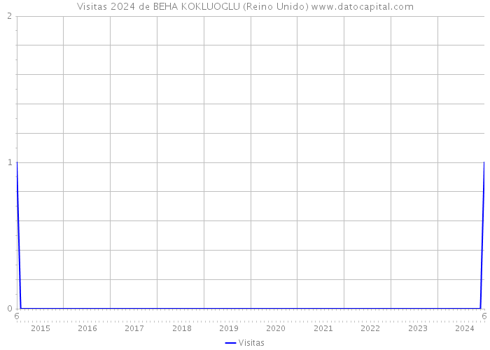 Visitas 2024 de BEHA KOKLUOGLU (Reino Unido) 