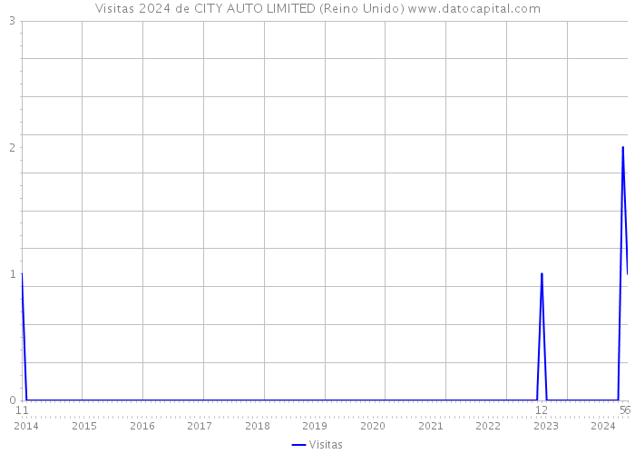 Visitas 2024 de CITY AUTO LIMITED (Reino Unido) 