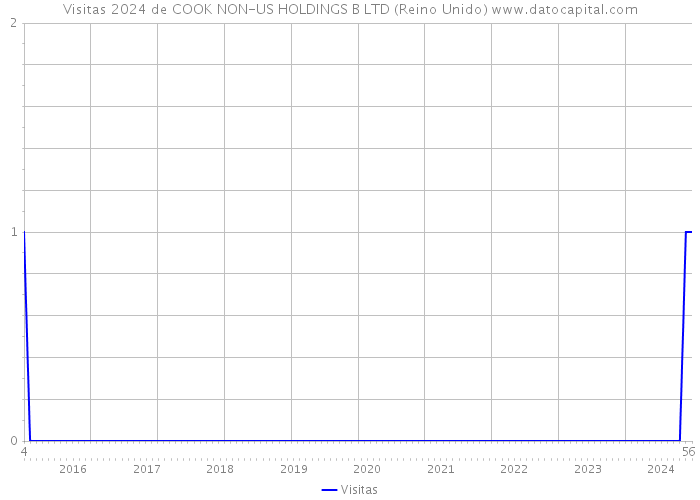 Visitas 2024 de COOK NON-US HOLDINGS B LTD (Reino Unido) 