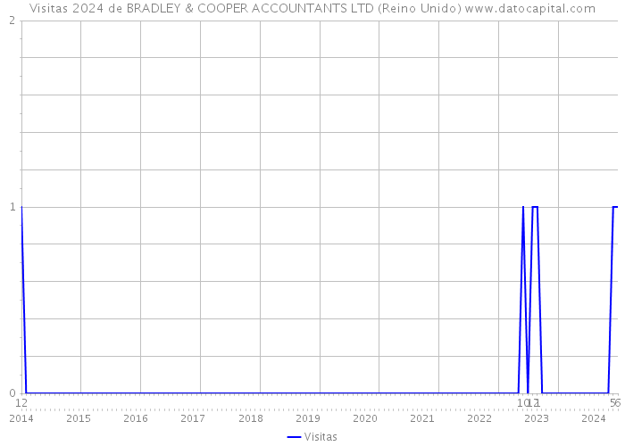 Visitas 2024 de BRADLEY & COOPER ACCOUNTANTS LTD (Reino Unido) 