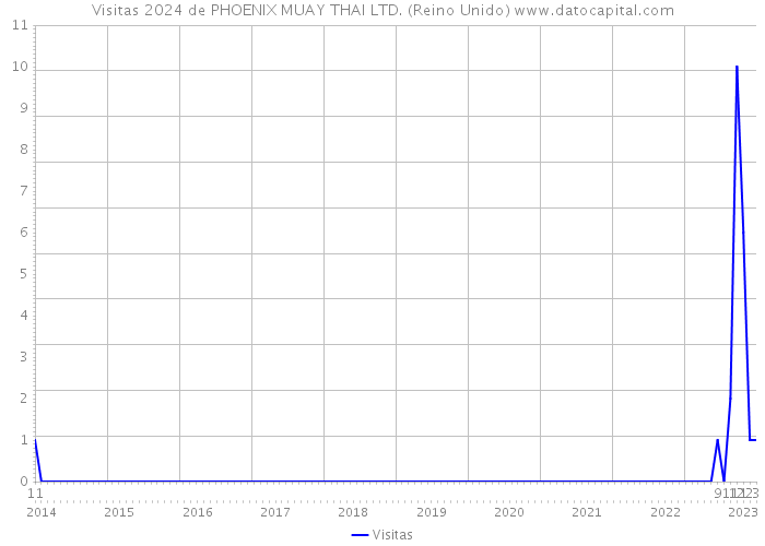 Visitas 2024 de PHOENIX MUAY THAI LTD. (Reino Unido) 