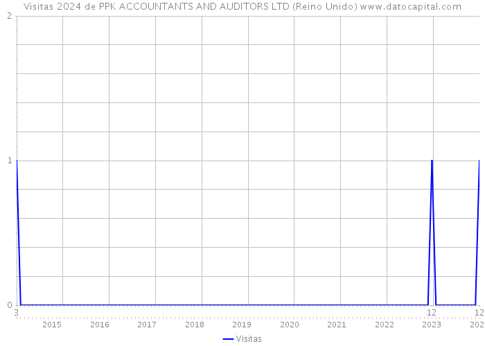 Visitas 2024 de PPK ACCOUNTANTS AND AUDITORS LTD (Reino Unido) 