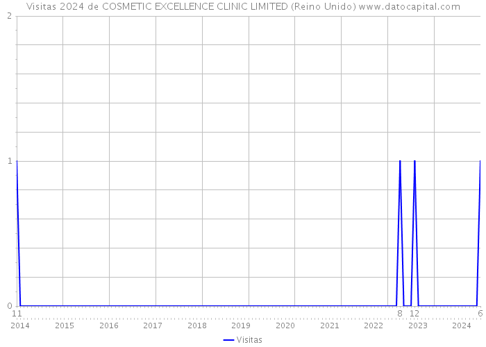 Visitas 2024 de COSMETIC EXCELLENCE CLINIC LIMITED (Reino Unido) 