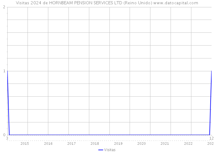 Visitas 2024 de HORNBEAM PENSION SERVICES LTD (Reino Unido) 