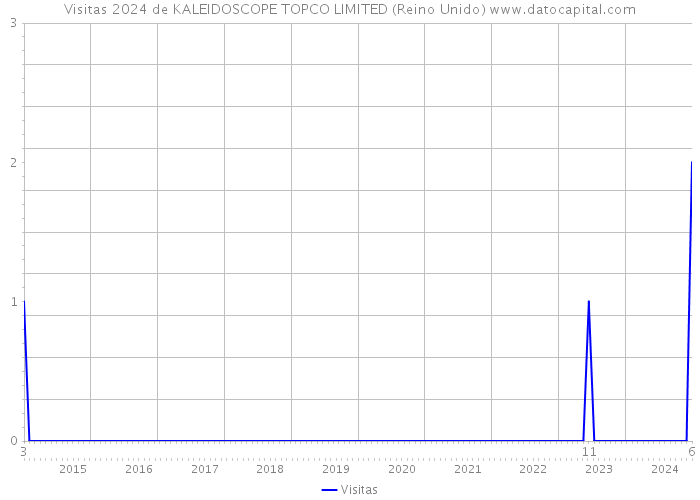 Visitas 2024 de KALEIDOSCOPE TOPCO LIMITED (Reino Unido) 