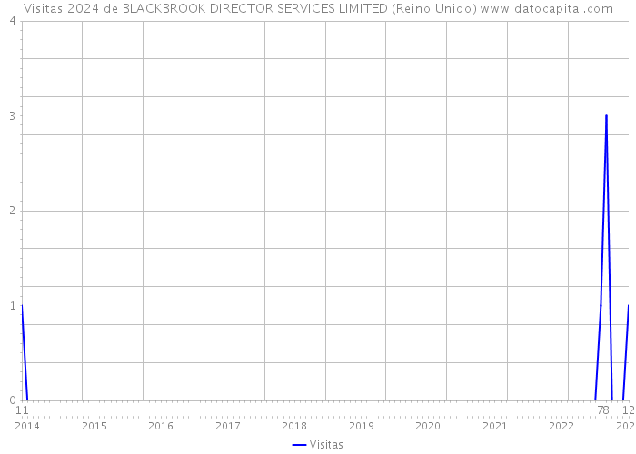 Visitas 2024 de BLACKBROOK DIRECTOR SERVICES LIMITED (Reino Unido) 