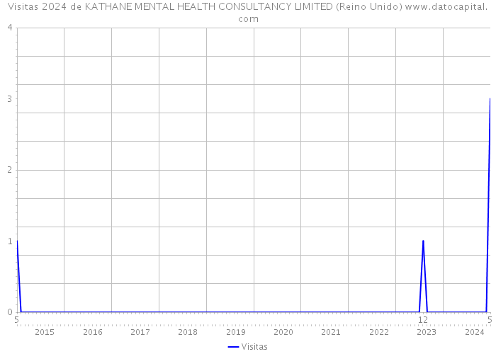 Visitas 2024 de KATHANE MENTAL HEALTH CONSULTANCY LIMITED (Reino Unido) 