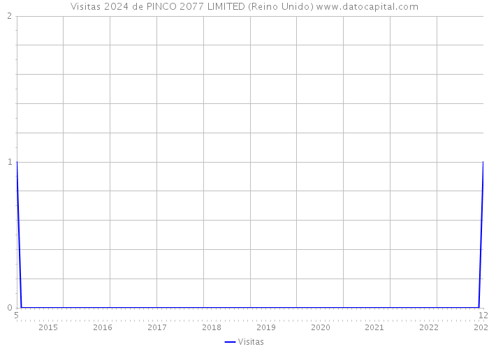Visitas 2024 de PINCO 2077 LIMITED (Reino Unido) 