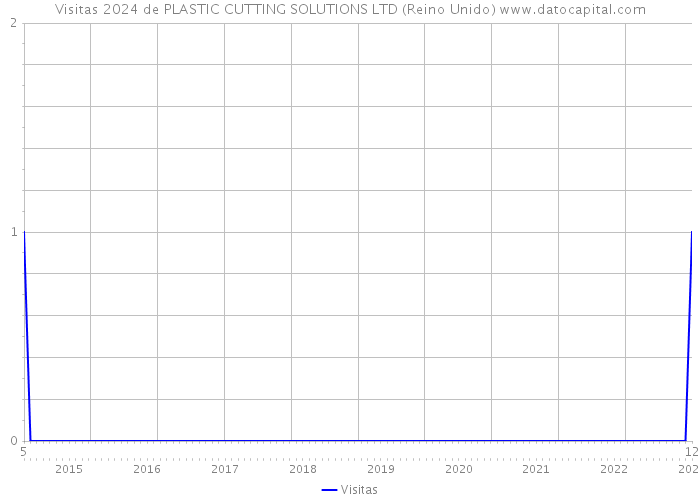 Visitas 2024 de PLASTIC CUTTING SOLUTIONS LTD (Reino Unido) 
