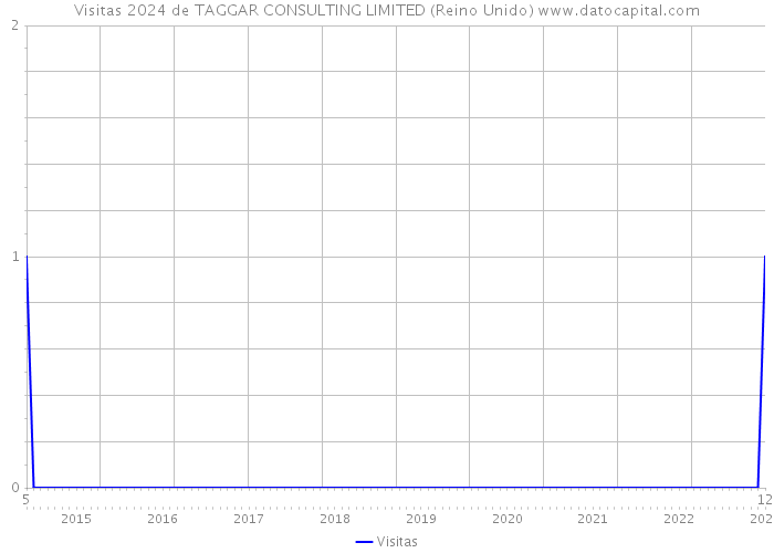 Visitas 2024 de TAGGAR CONSULTING LIMITED (Reino Unido) 