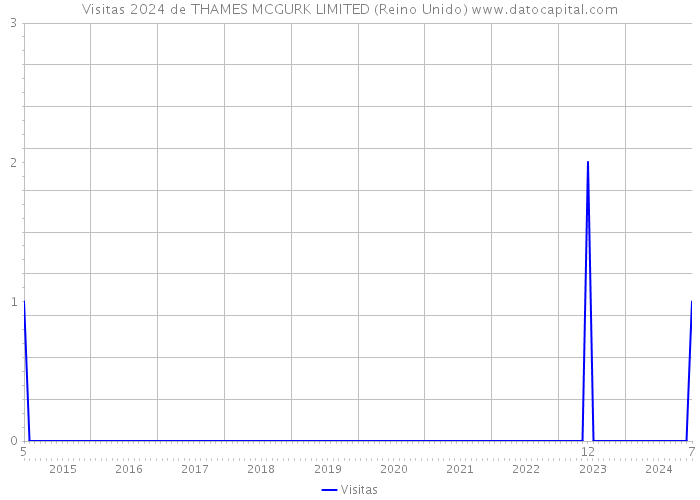 Visitas 2024 de THAMES MCGURK LIMITED (Reino Unido) 