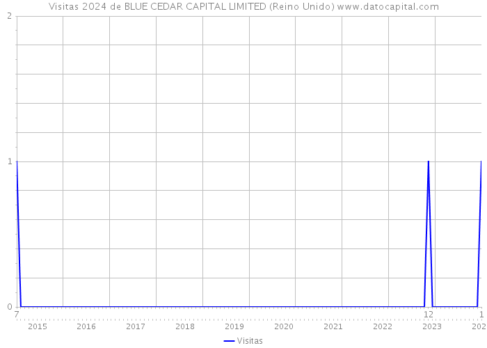 Visitas 2024 de BLUE CEDAR CAPITAL LIMITED (Reino Unido) 