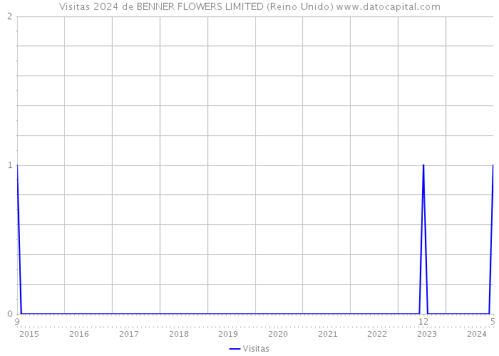 Visitas 2024 de BENNER FLOWERS LIMITED (Reino Unido) 
