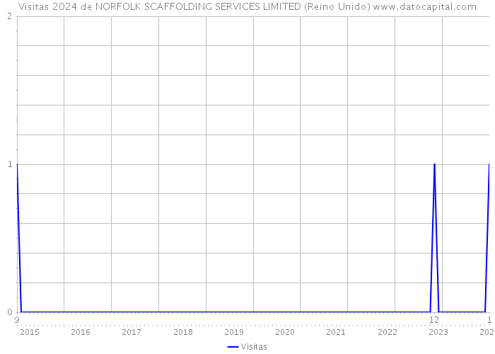 Visitas 2024 de NORFOLK SCAFFOLDING SERVICES LIMITED (Reino Unido) 