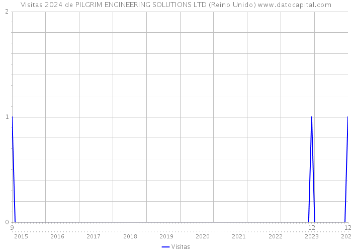Visitas 2024 de PILGRIM ENGINEERING SOLUTIONS LTD (Reino Unido) 