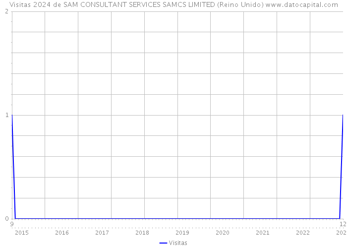 Visitas 2024 de SAM CONSULTANT SERVICES SAMCS LIMITED (Reino Unido) 