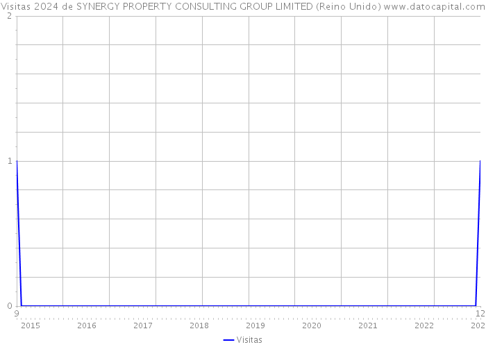 Visitas 2024 de SYNERGY PROPERTY CONSULTING GROUP LIMITED (Reino Unido) 