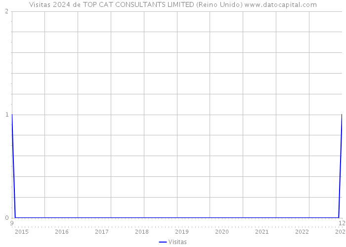 Visitas 2024 de TOP CAT CONSULTANTS LIMITED (Reino Unido) 