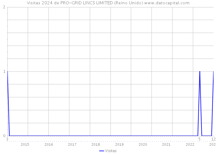 Visitas 2024 de PRO-GRID LINCS LIMITED (Reino Unido) 