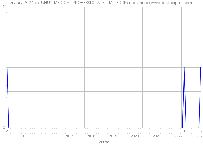 Visitas 2024 de UHUD MEDICAL PROFESSIONALS LIMITED (Reino Unido) 