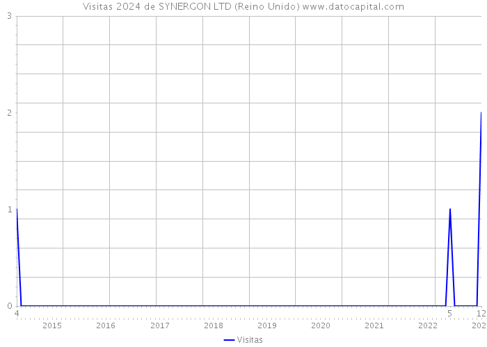 Visitas 2024 de SYNERGON LTD (Reino Unido) 