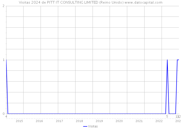 Visitas 2024 de PITT IT CONSULTING LIMITED (Reino Unido) 