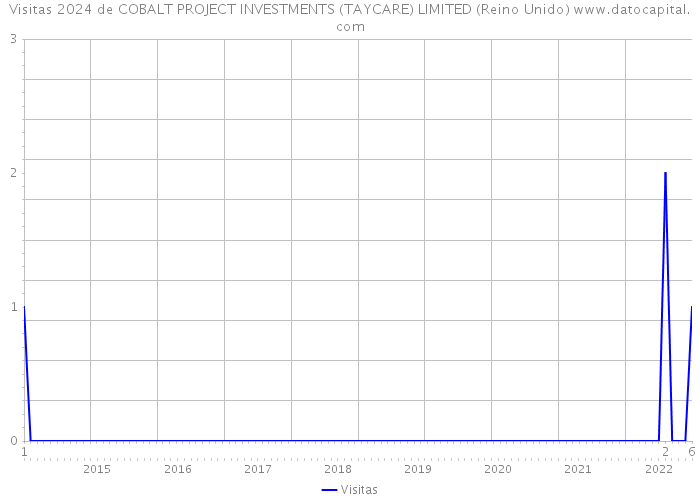 Visitas 2024 de COBALT PROJECT INVESTMENTS (TAYCARE) LIMITED (Reino Unido) 