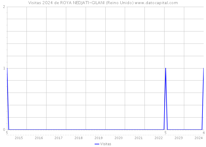 Visitas 2024 de ROYA NEDJATI-GILANI (Reino Unido) 