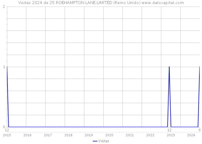 Visitas 2024 de 25 ROEHAMPTON LANE LIMITED (Reino Unido) 