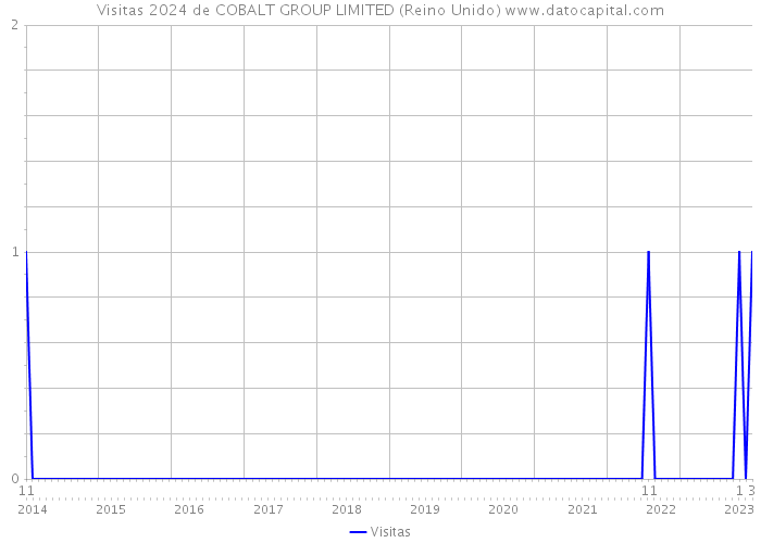 Visitas 2024 de COBALT GROUP LIMITED (Reino Unido) 