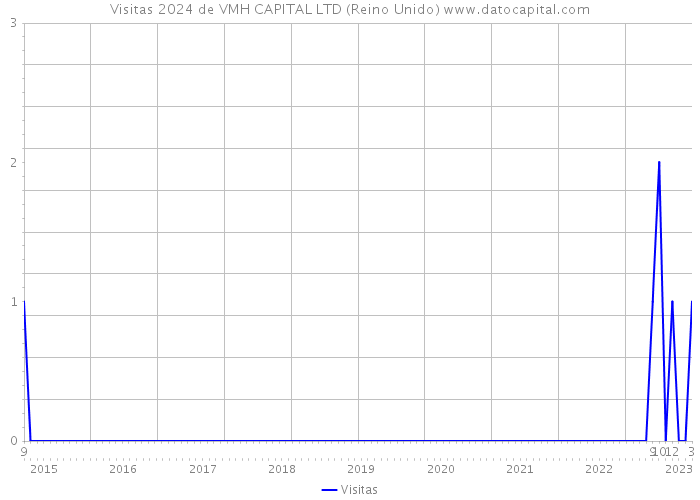 Visitas 2024 de VMH CAPITAL LTD (Reino Unido) 