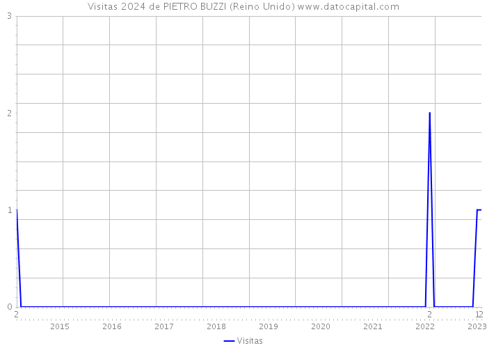 Visitas 2024 de PIETRO BUZZI (Reino Unido) 