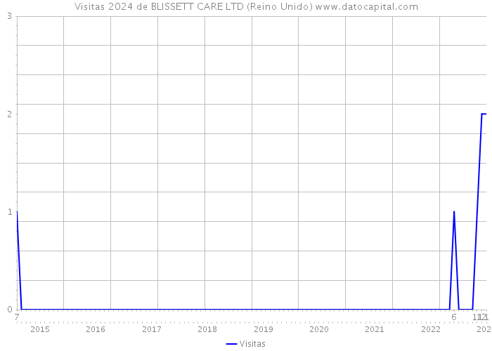 Visitas 2024 de BLISSETT CARE LTD (Reino Unido) 