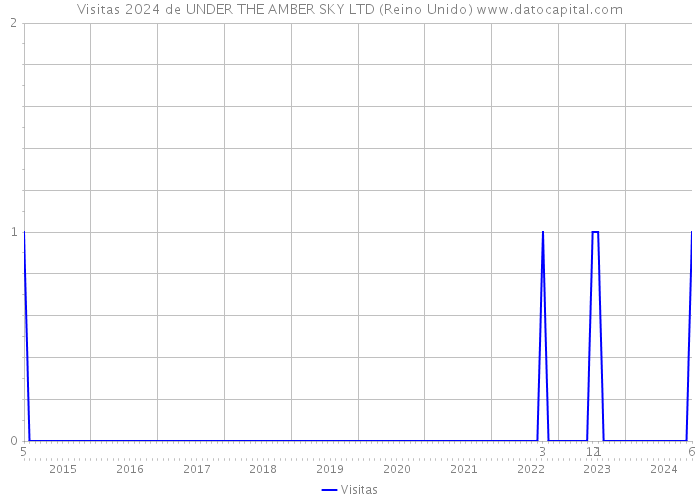 Visitas 2024 de UNDER THE AMBER SKY LTD (Reino Unido) 