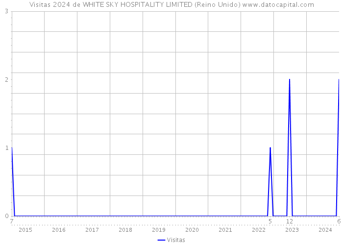 Visitas 2024 de WHITE SKY HOSPITALITY LIMITED (Reino Unido) 
