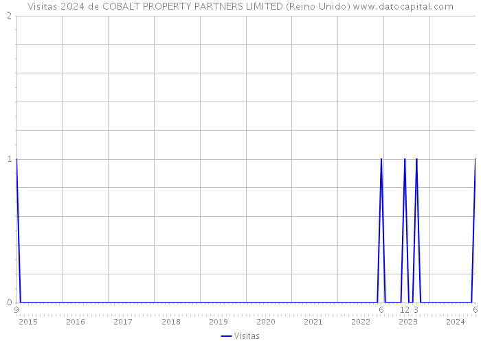 Visitas 2024 de COBALT PROPERTY PARTNERS LIMITED (Reino Unido) 