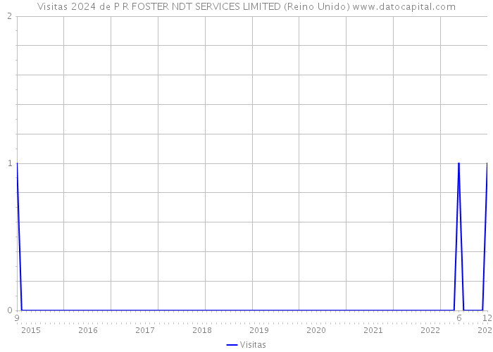 Visitas 2024 de P R FOSTER NDT SERVICES LIMITED (Reino Unido) 