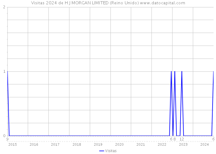 Visitas 2024 de H J MORGAN LIMITED (Reino Unido) 