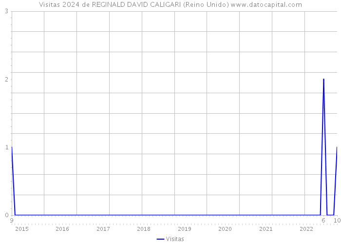 Visitas 2024 de REGINALD DAVID CALIGARI (Reino Unido) 