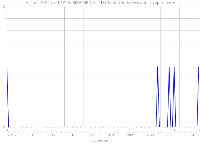 Visitas 2024 de TINY BUBBLE MEDIA LTD (Reino Unido) 