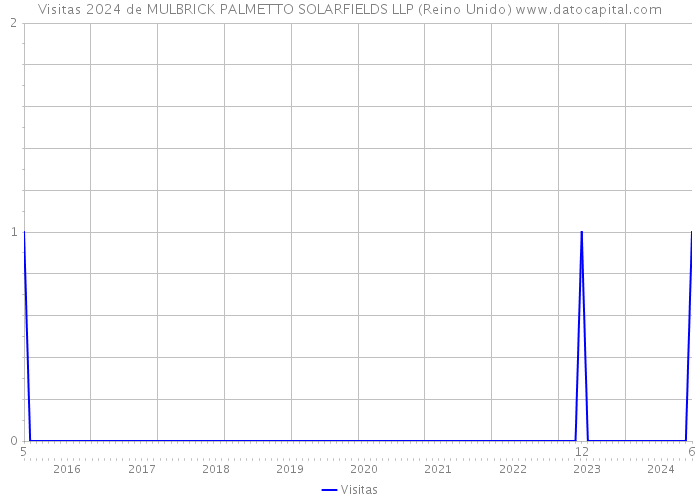 Visitas 2024 de MULBRICK PALMETTO SOLARFIELDS LLP (Reino Unido) 