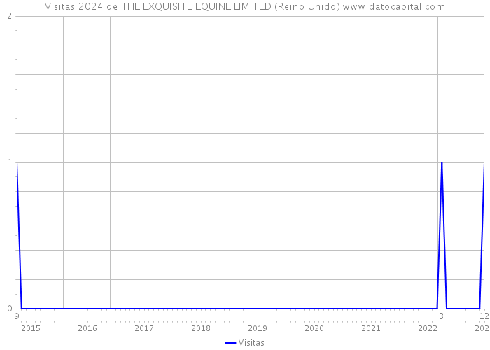 Visitas 2024 de THE EXQUISITE EQUINE LIMITED (Reino Unido) 