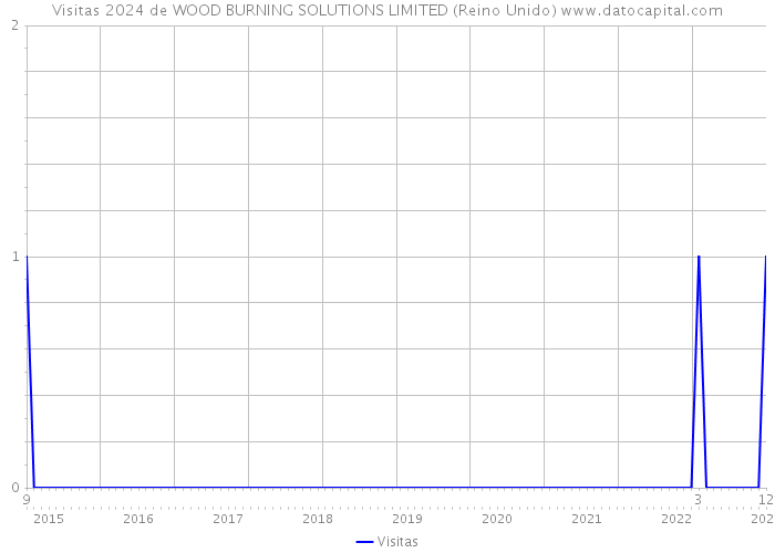 Visitas 2024 de WOOD BURNING SOLUTIONS LIMITED (Reino Unido) 