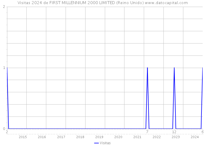 Visitas 2024 de FIRST MILLENNIUM 2000 LIMITED (Reino Unido) 