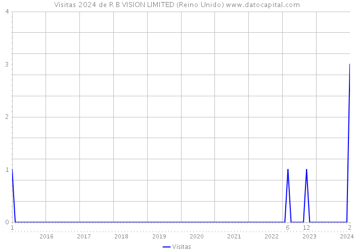 Visitas 2024 de R B VISION LIMITED (Reino Unido) 