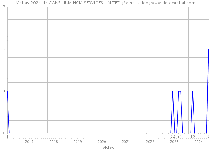 Visitas 2024 de CONSILIUM HCM SERVICES LIMITED (Reino Unido) 