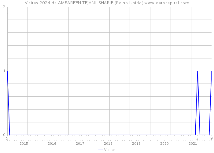 Visitas 2024 de AMBAREEN TEJANI-SHARIF (Reino Unido) 