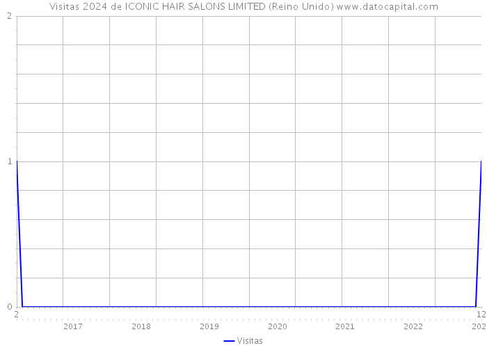 Visitas 2024 de ICONIC HAIR SALONS LIMITED (Reino Unido) 