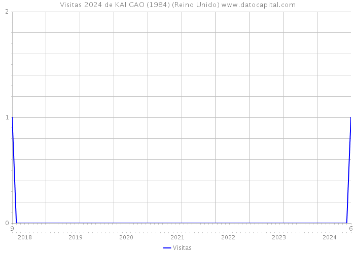 Visitas 2024 de KAI GAO (1984) (Reino Unido) 